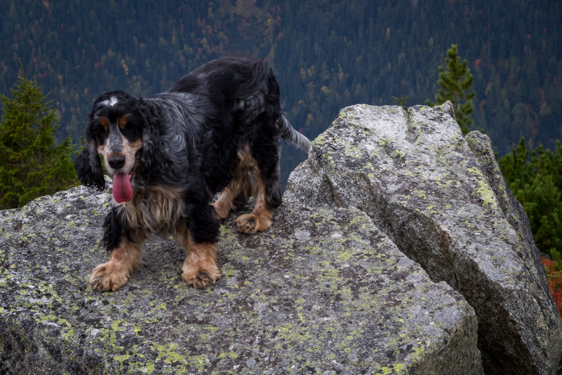 Otrhance z ATC Račkova dolina (Západné Tatry)