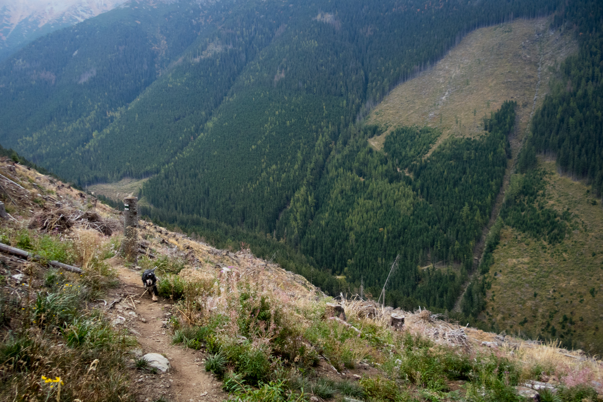 Otrhance z ATC Račkova dolina (Západné Tatry)