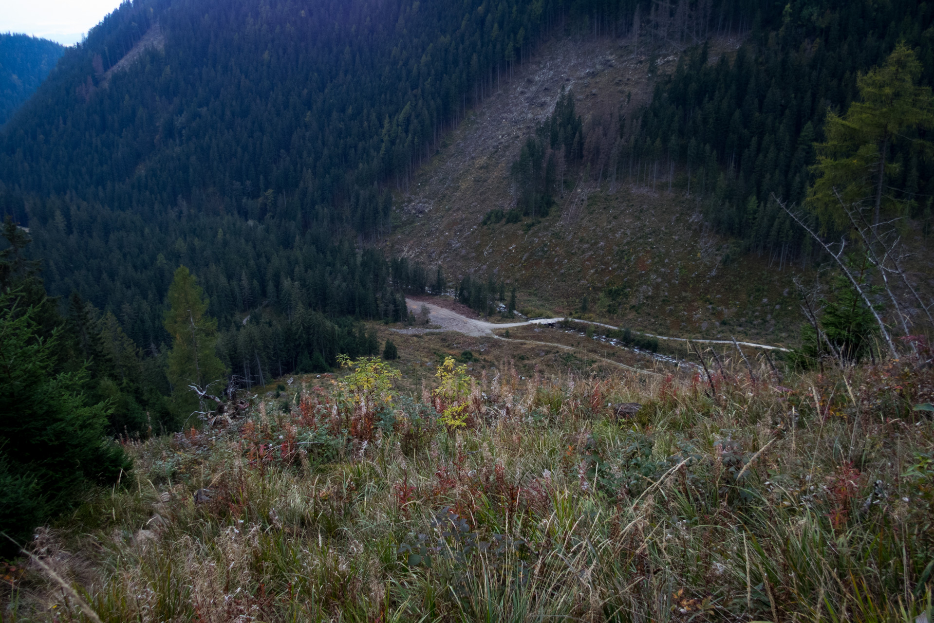 Otrhance z ATC Račkova dolina (Západné Tatry)