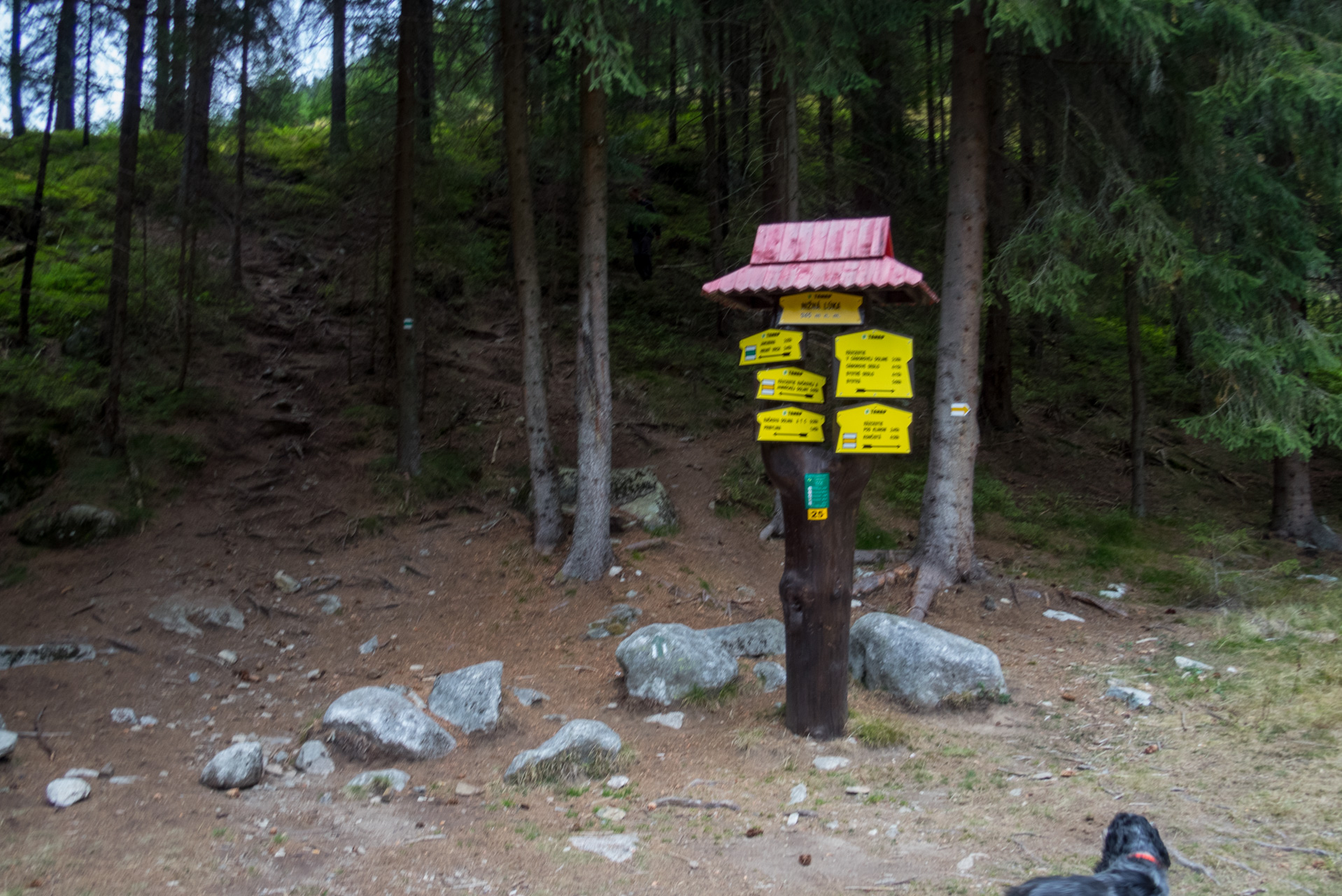 Otrhance z ATC Račkova dolina (Západné Tatry)