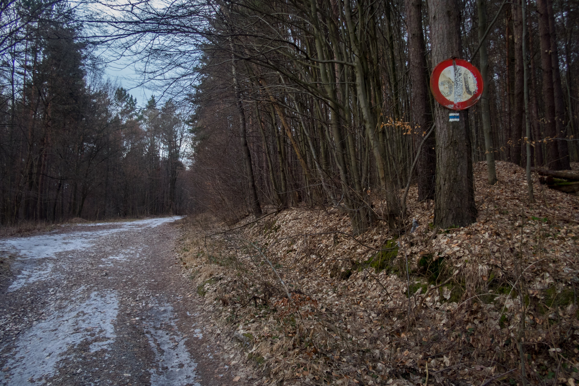 Rozsypaná skala z Klenova (Čierna hora)