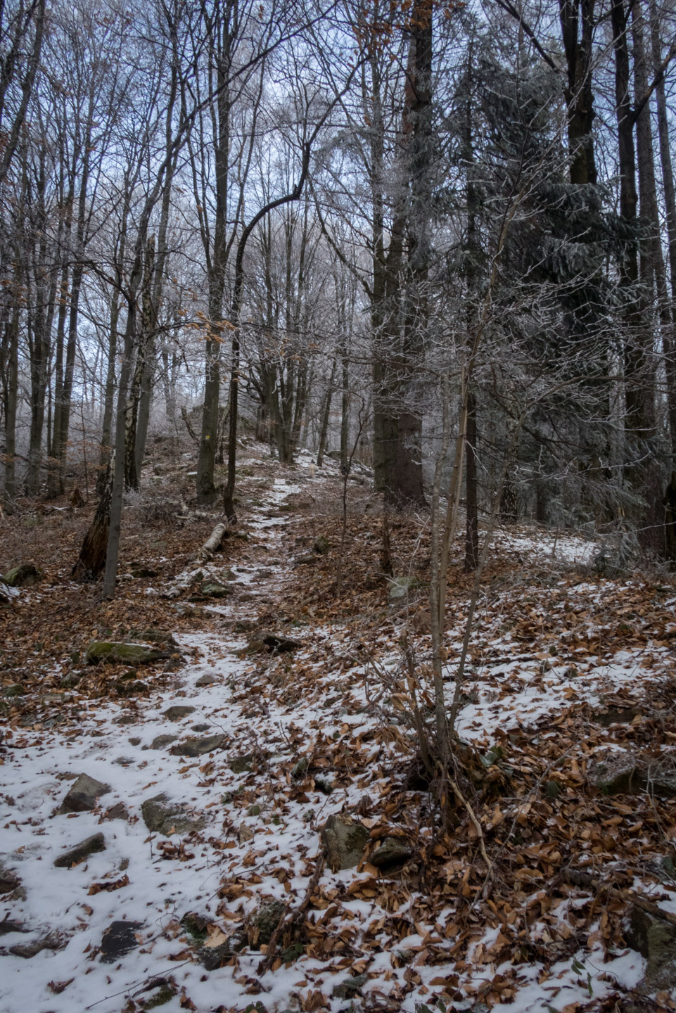 Rozsypaná skala z Klenova (Čierna hora)