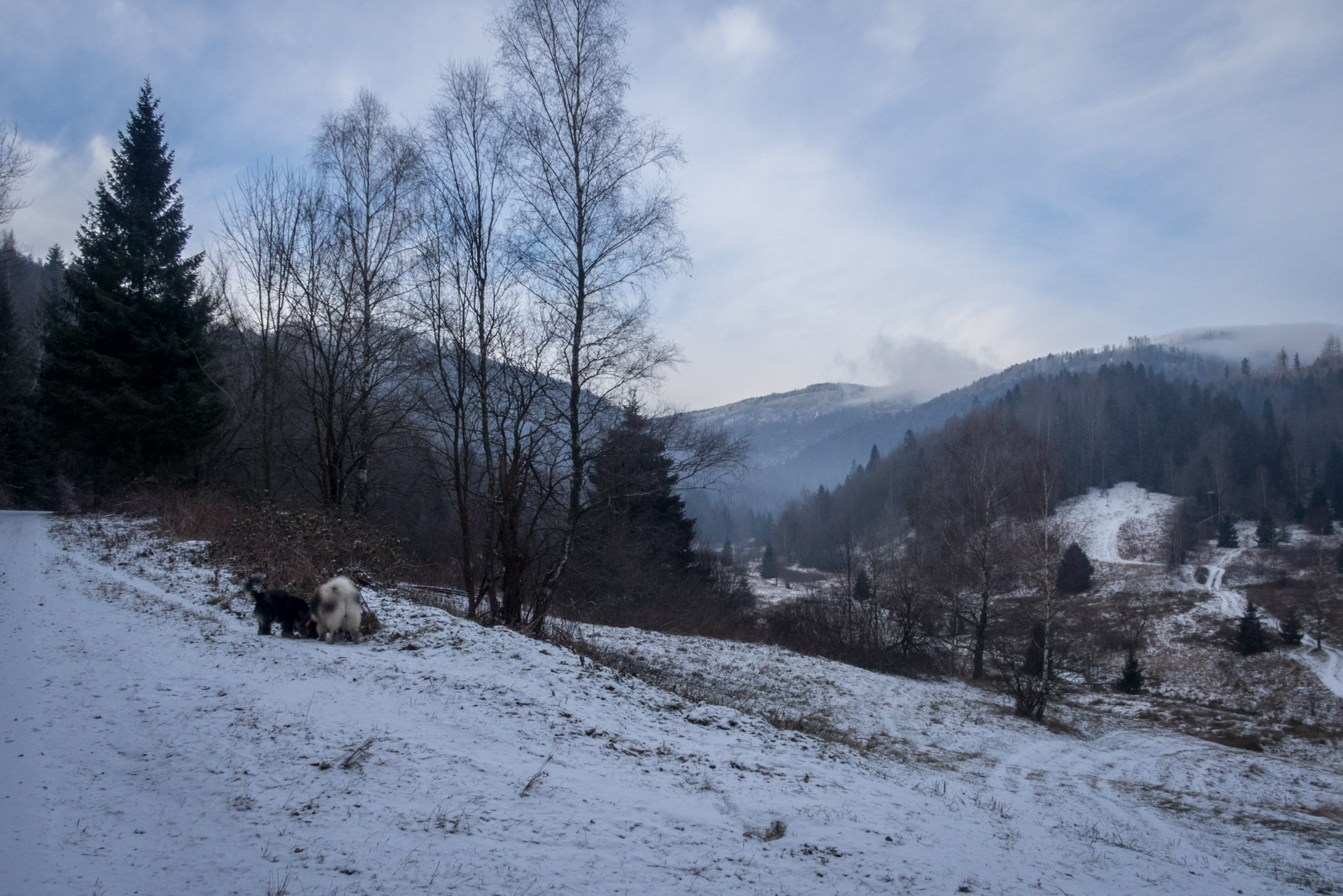 Skalisko v zime z Henclovej (Volovské vrchy)