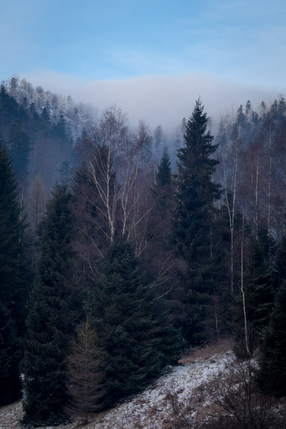 Skalisko v zime z Henclovej (Volovské vrchy)