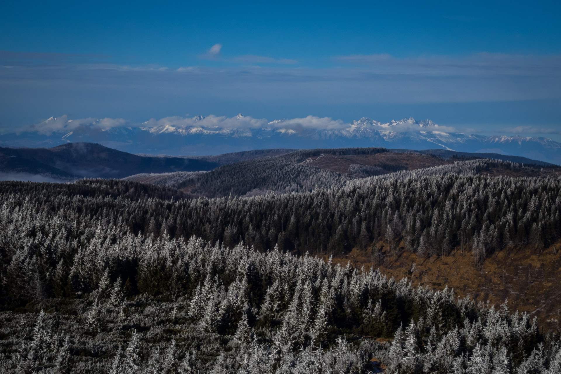 Skalisko v zime z Henclovej (Volovské vrchy)