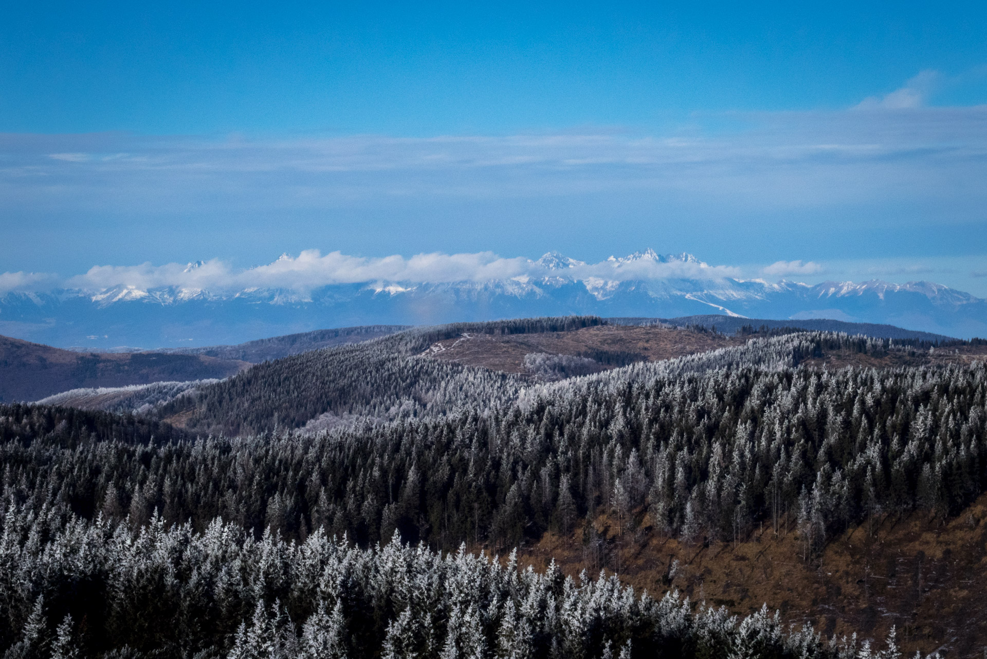 Skalisko v zime z Henclovej (Volovské vrchy)