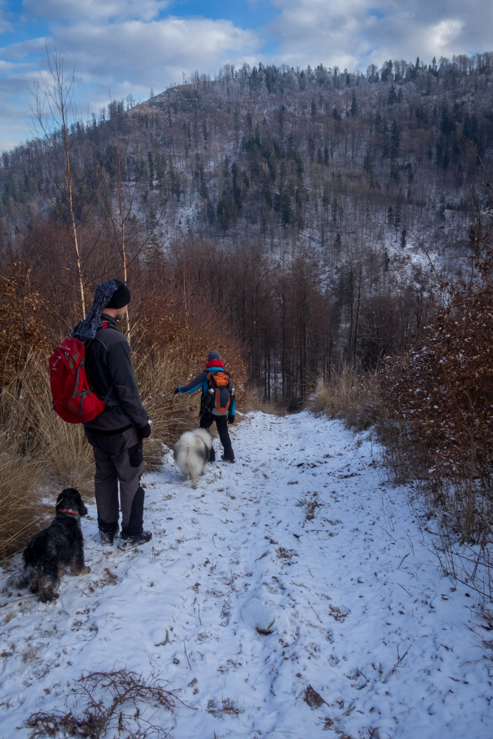 Skalisko v zime z Henclovej (Volovské vrchy)