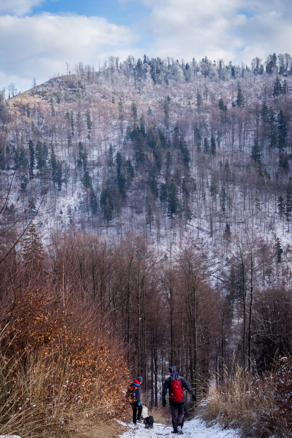 Skalisko v zime z Henclovej (Volovské vrchy)