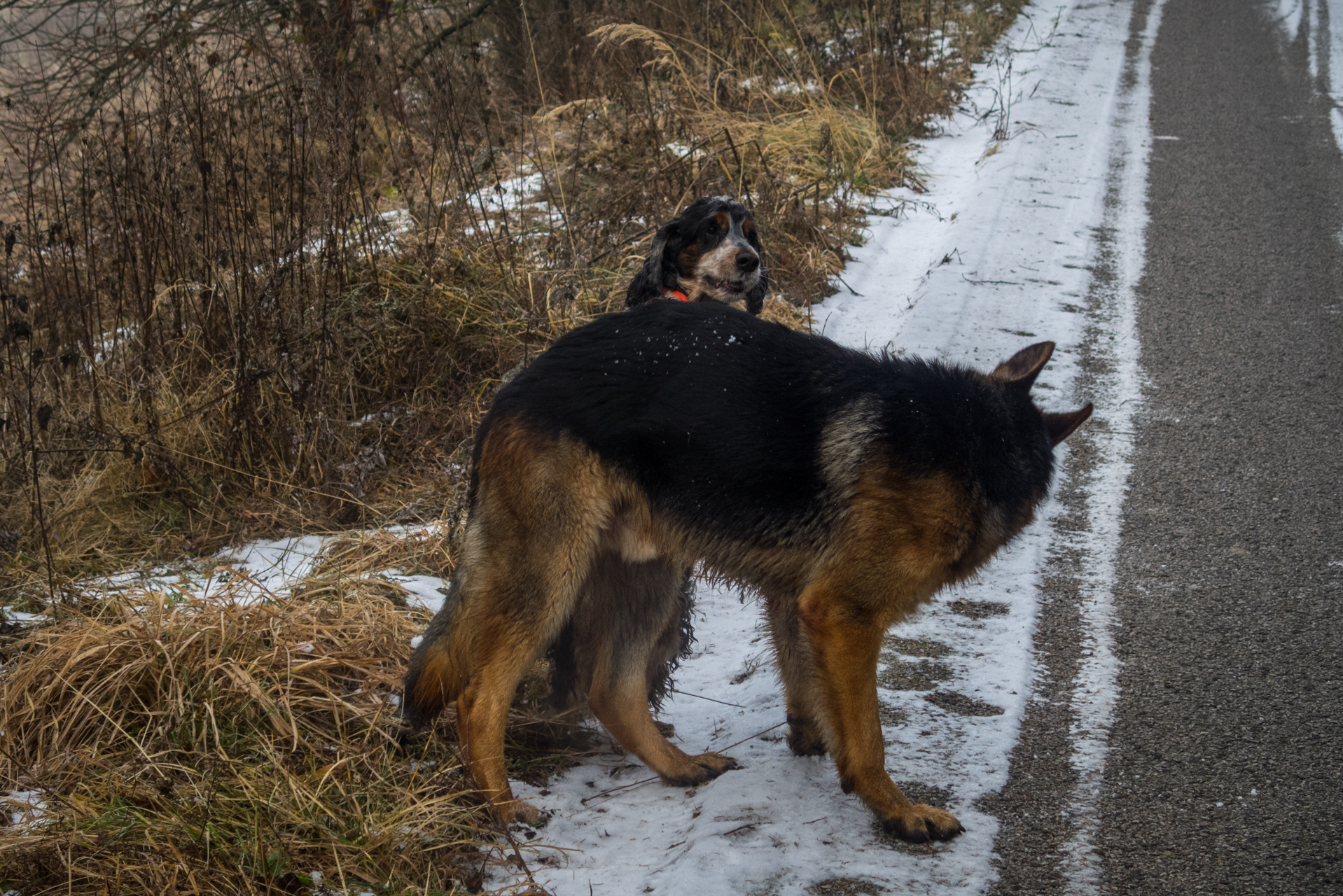 Skalisko z Henclovej (Volovské vrchy)