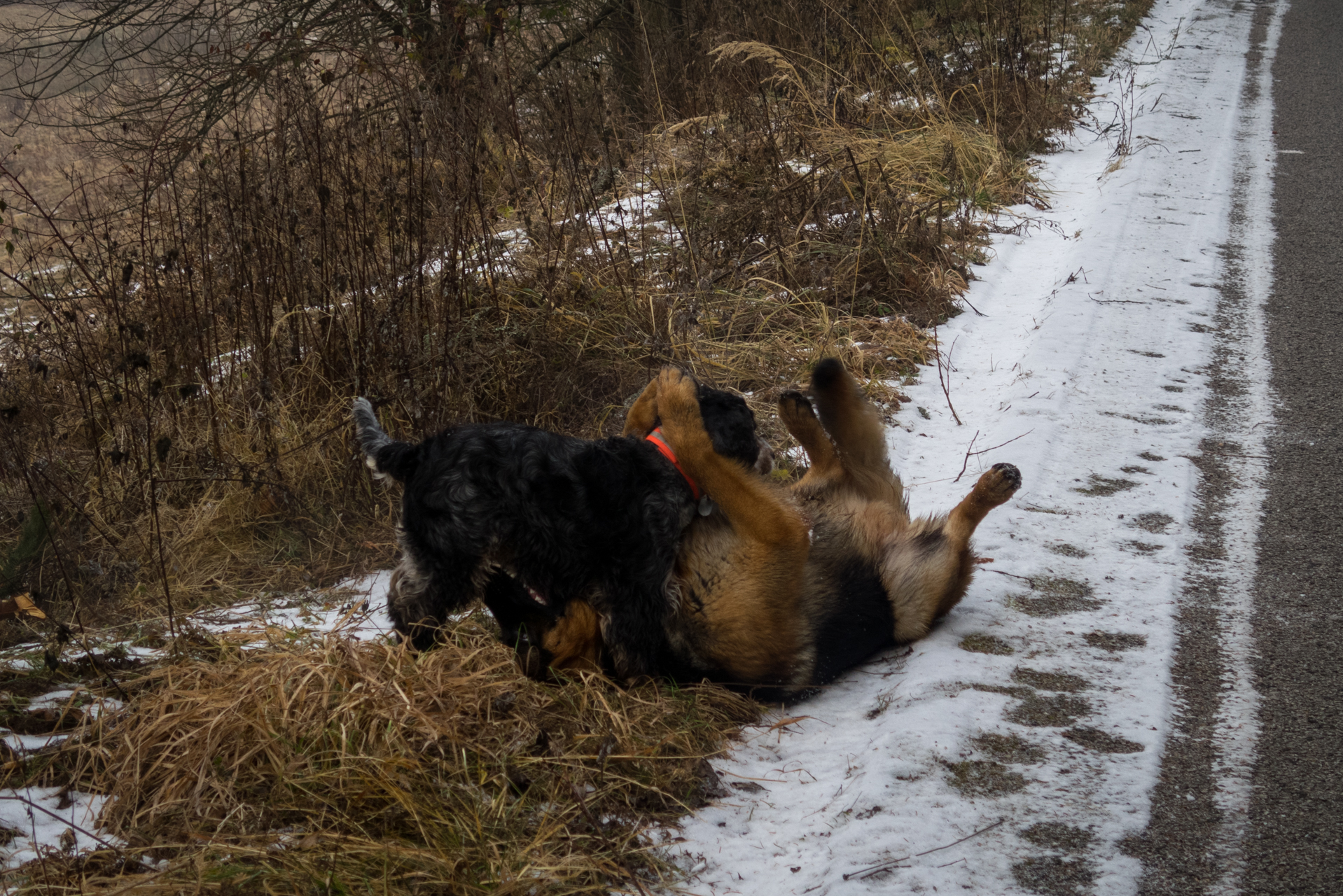 Skalisko z Henclovej (Volovské vrchy)