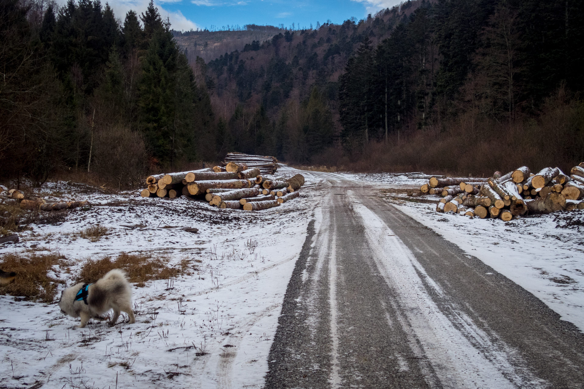 Skalisko z Henclovej (Volovské vrchy)