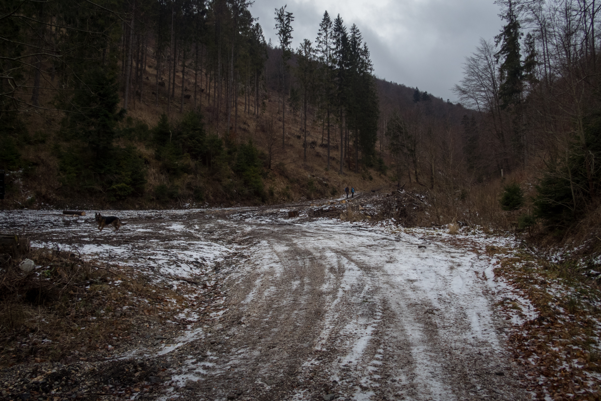 Skalisko z Henclovej (Volovské vrchy)