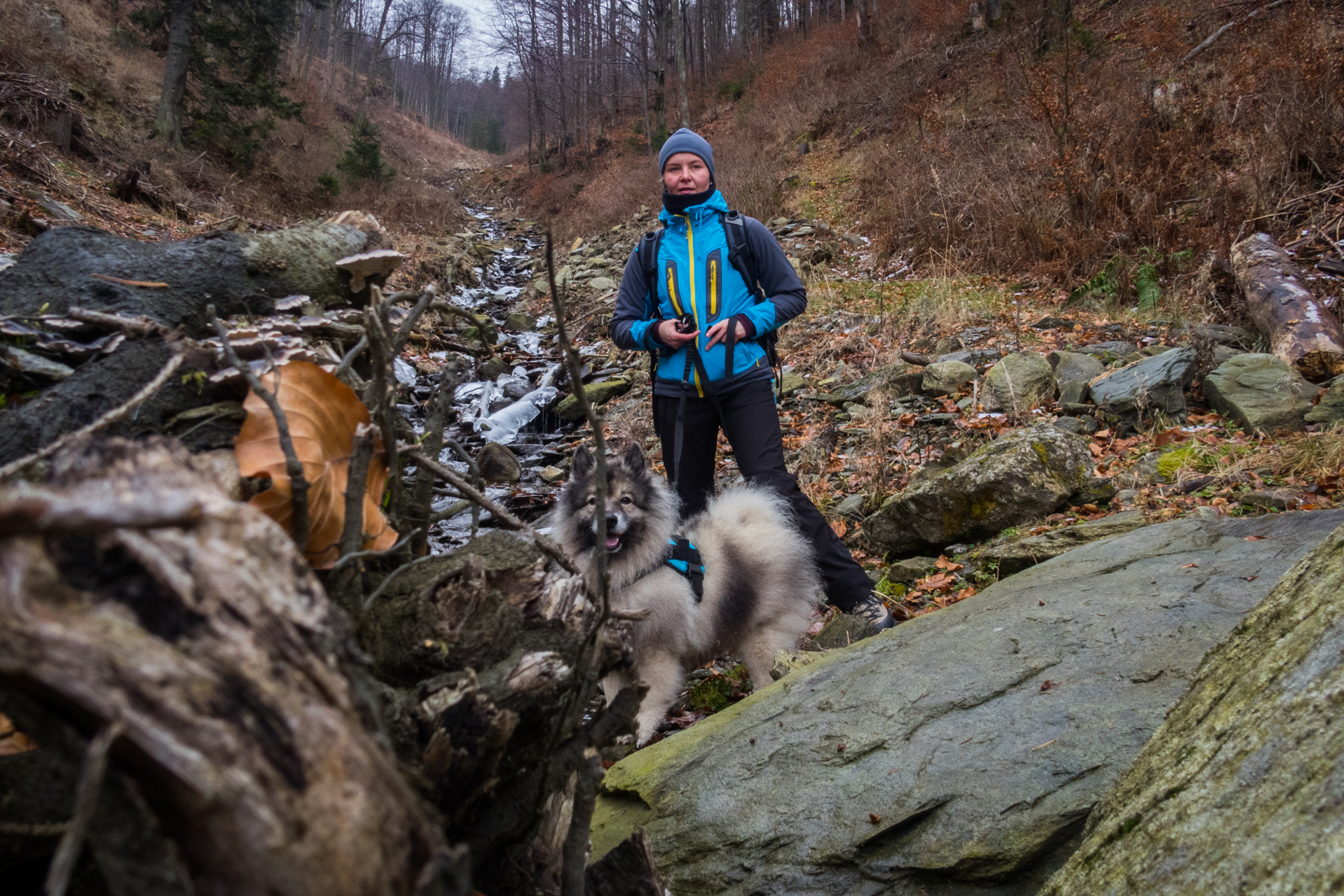 Skalisko z Henclovej (Volovské vrchy)