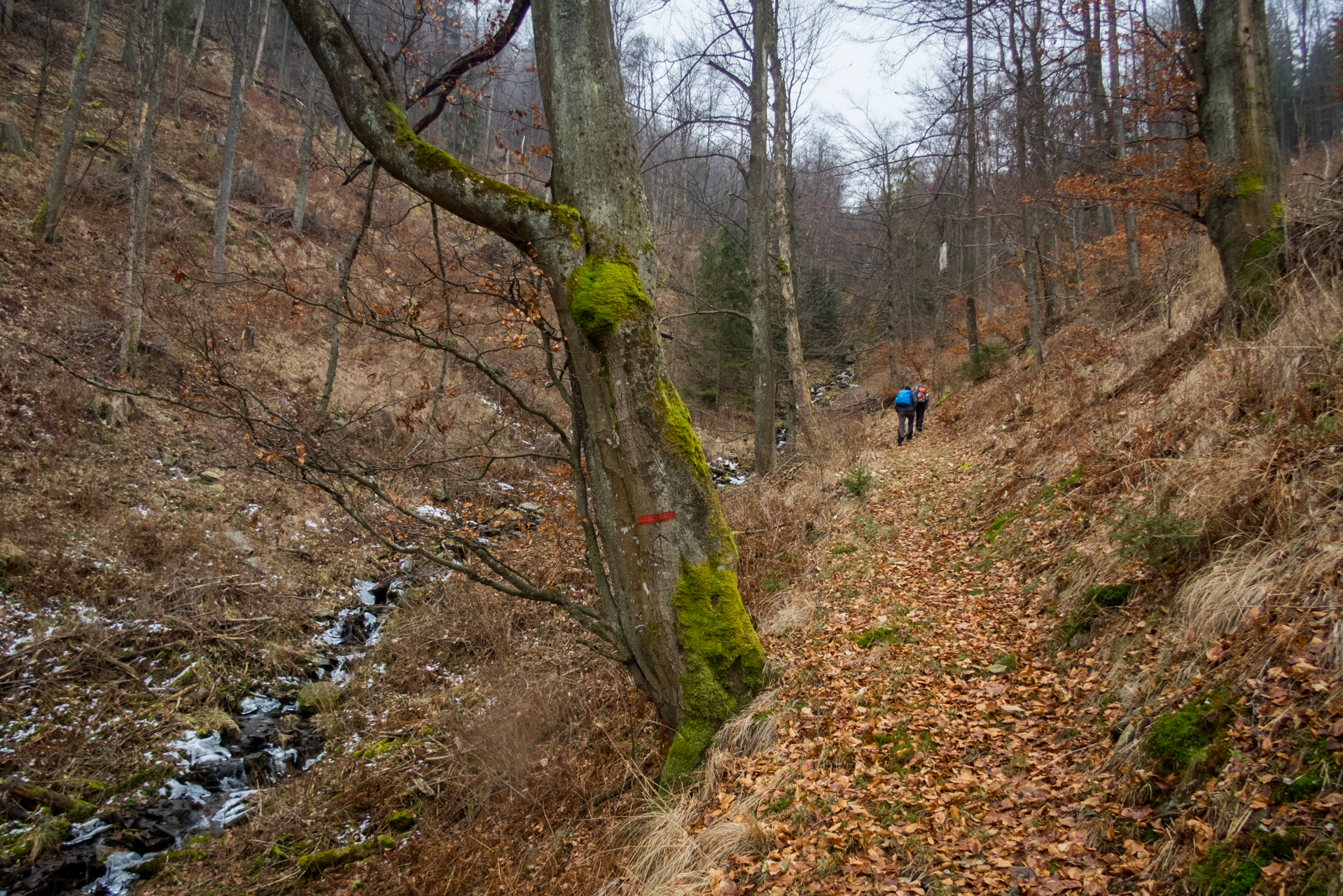 Skalisko z Henclovej (Volovské vrchy)