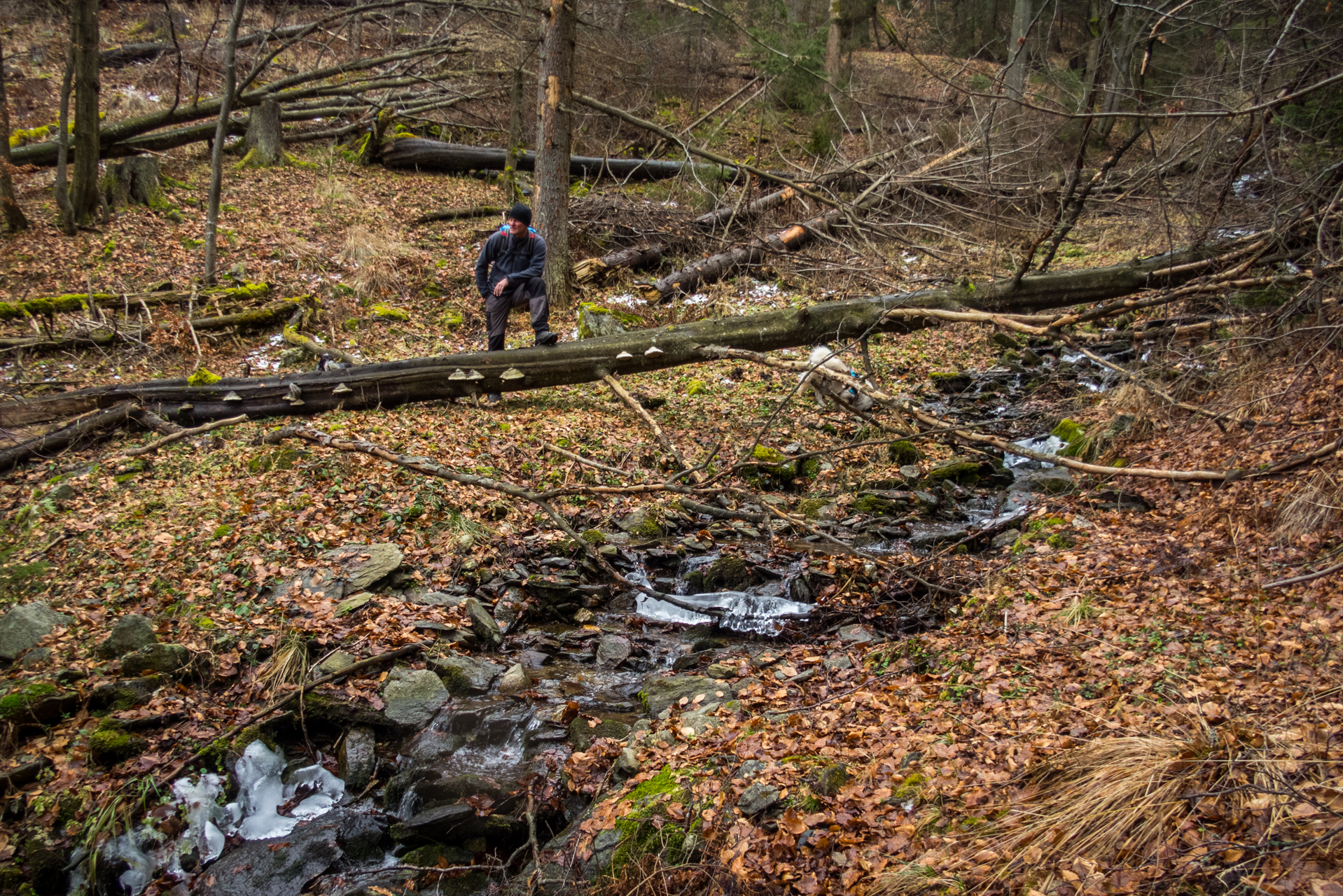 Skalisko z Henclovej (Volovské vrchy)