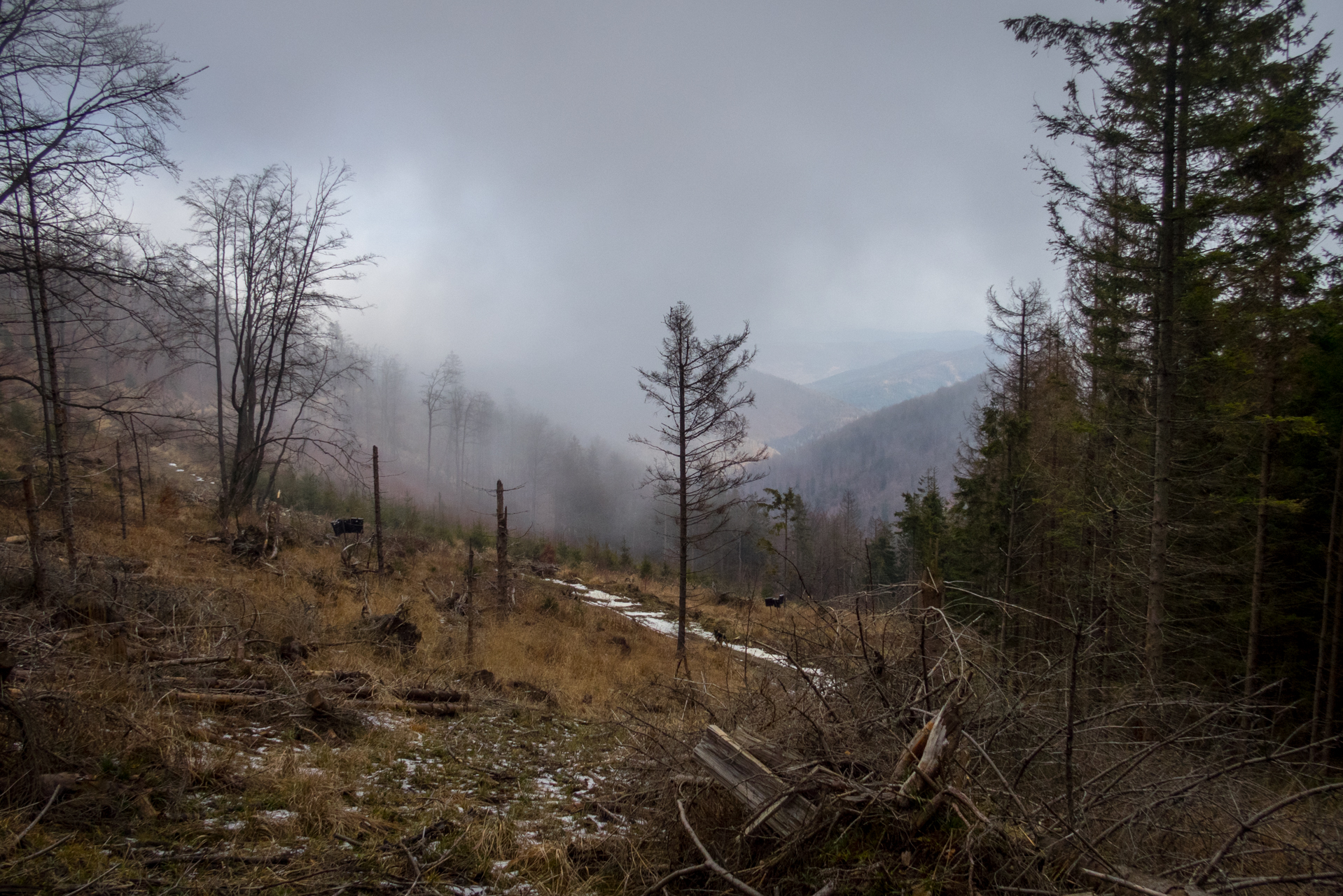 Skalisko z Henclovej (Volovské vrchy)