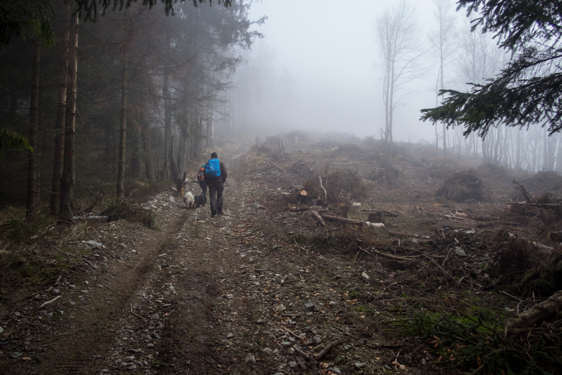 Skalisko z Henclovej (Volovské vrchy)