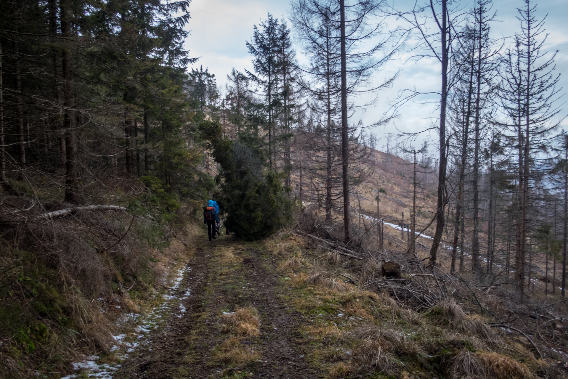 Skalisko z Henclovej (Volovské vrchy)