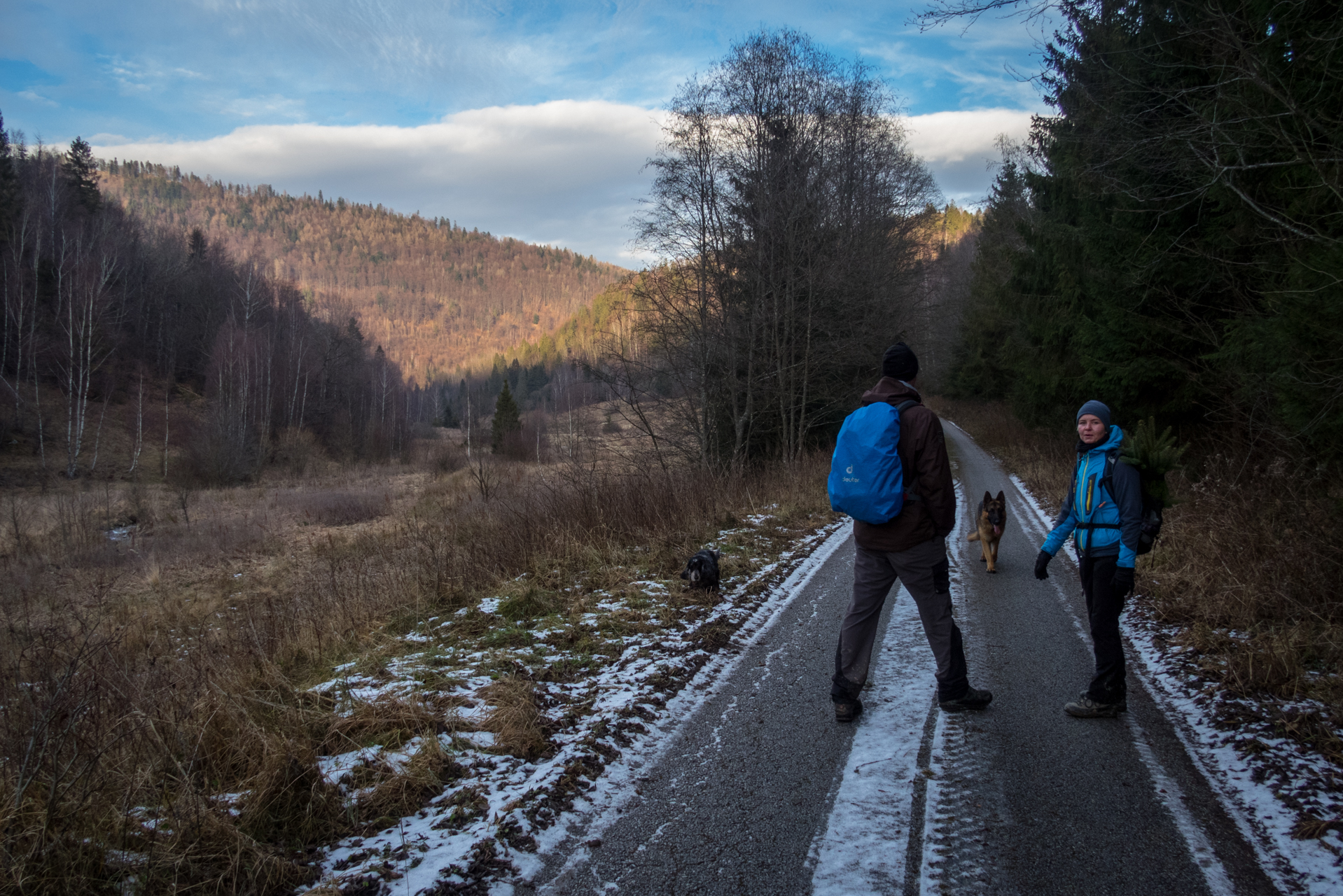 Skalisko z Henclovej (Volovské vrchy)