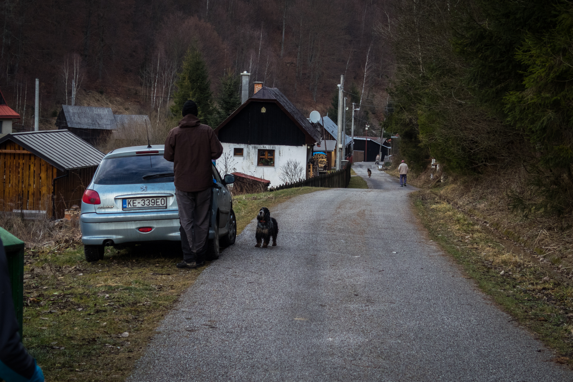 Skalisko z Henclovej (Volovské vrchy)