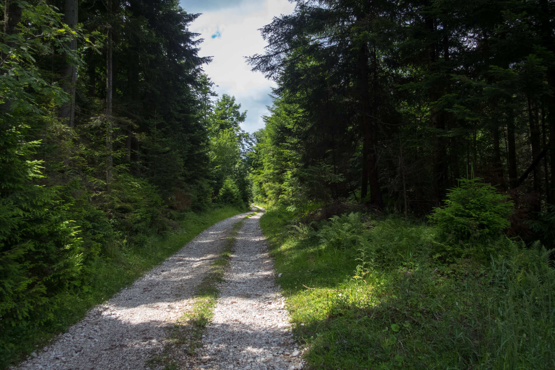 Skalisko z vodnej nádrže Úhorná (Volovské vrchy)