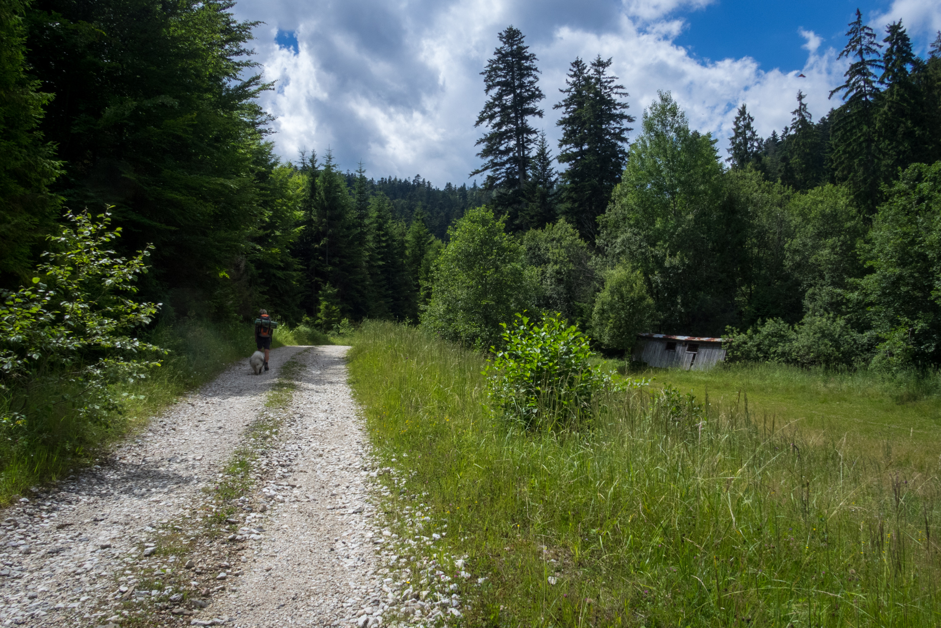 Skalisko z vodnej nádrže Úhorná (Volovské vrchy)