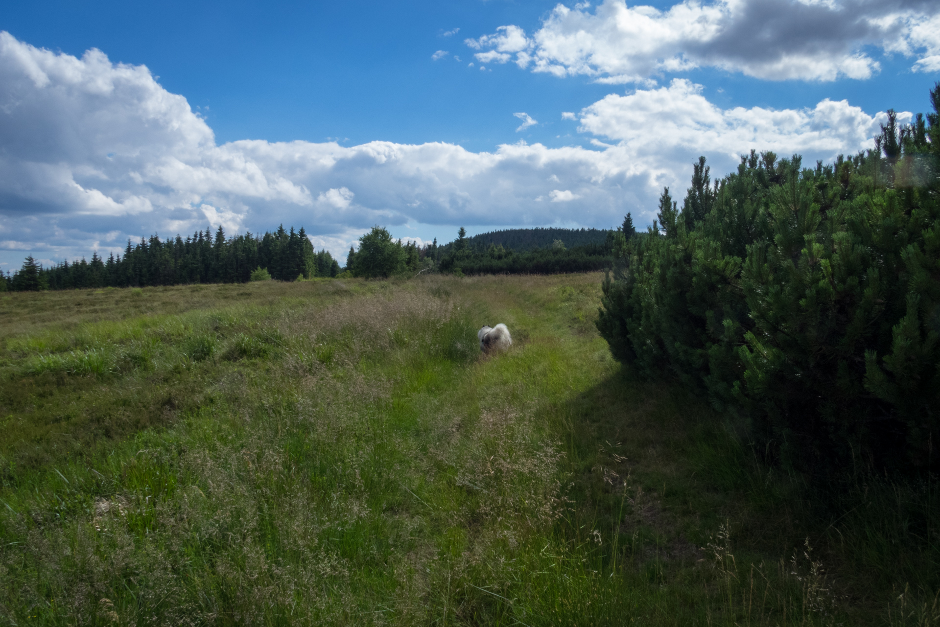 Skalisko z vodnej nádrže Úhorná (Volovské vrchy)