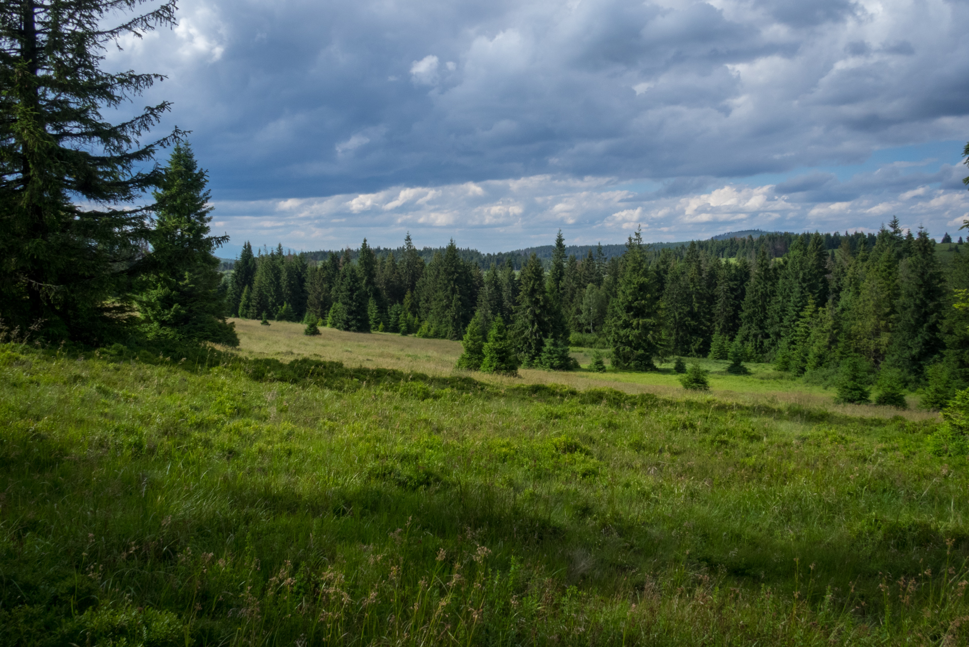 Skalisko z vodnej nádrže Úhorná (Volovské vrchy)