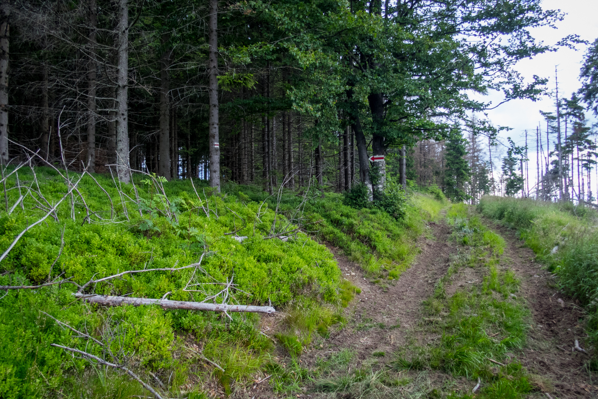 Skalisko z vodnej nádrže Úhorná (Volovské vrchy)