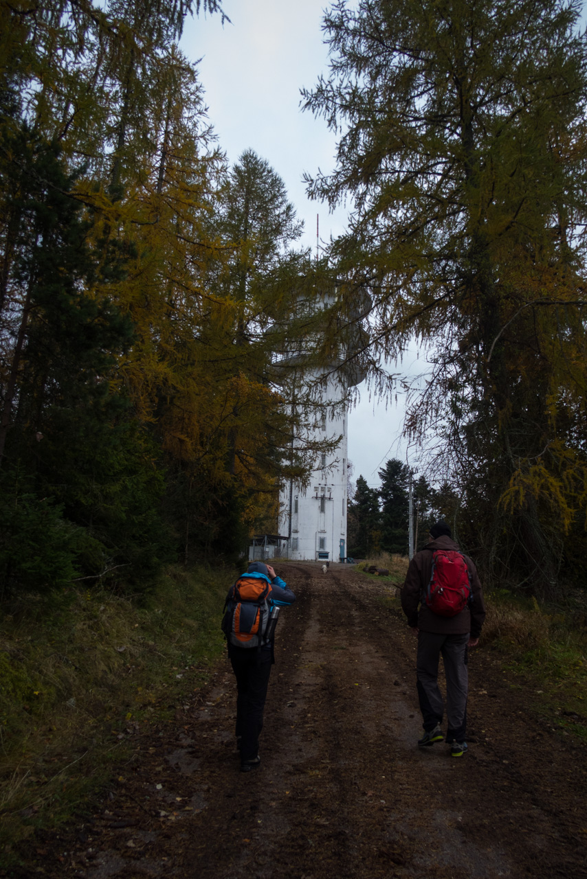 Sľubica z Braniska (Branisko)