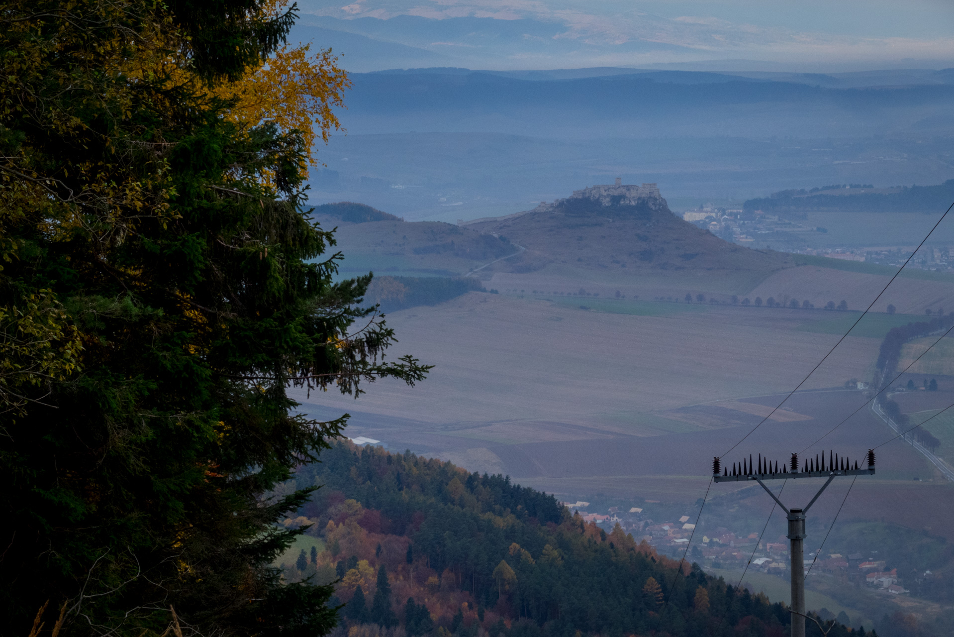 Sľubica z Braniska (Branisko)