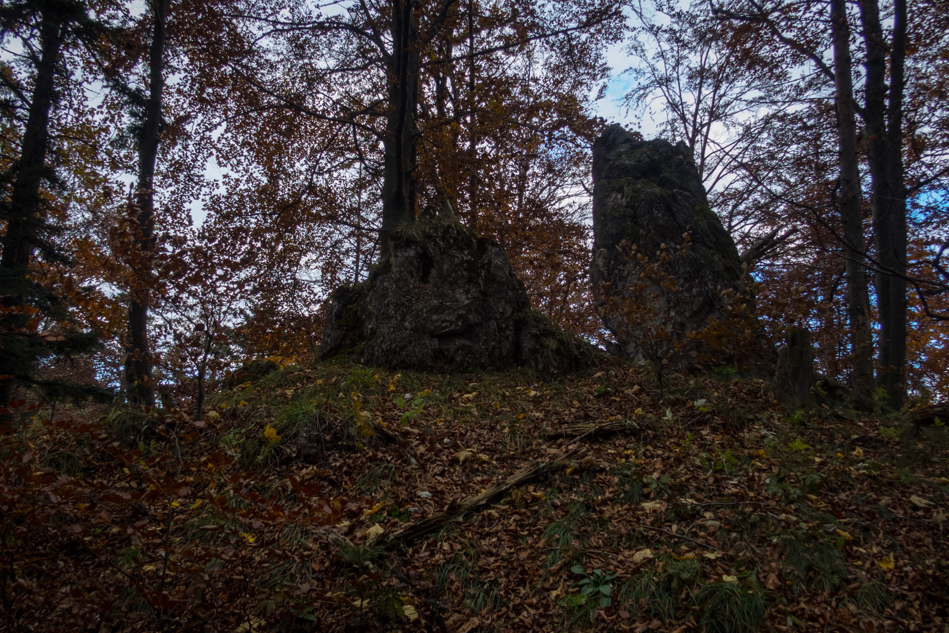 Sľubica z Braniska (Branisko)