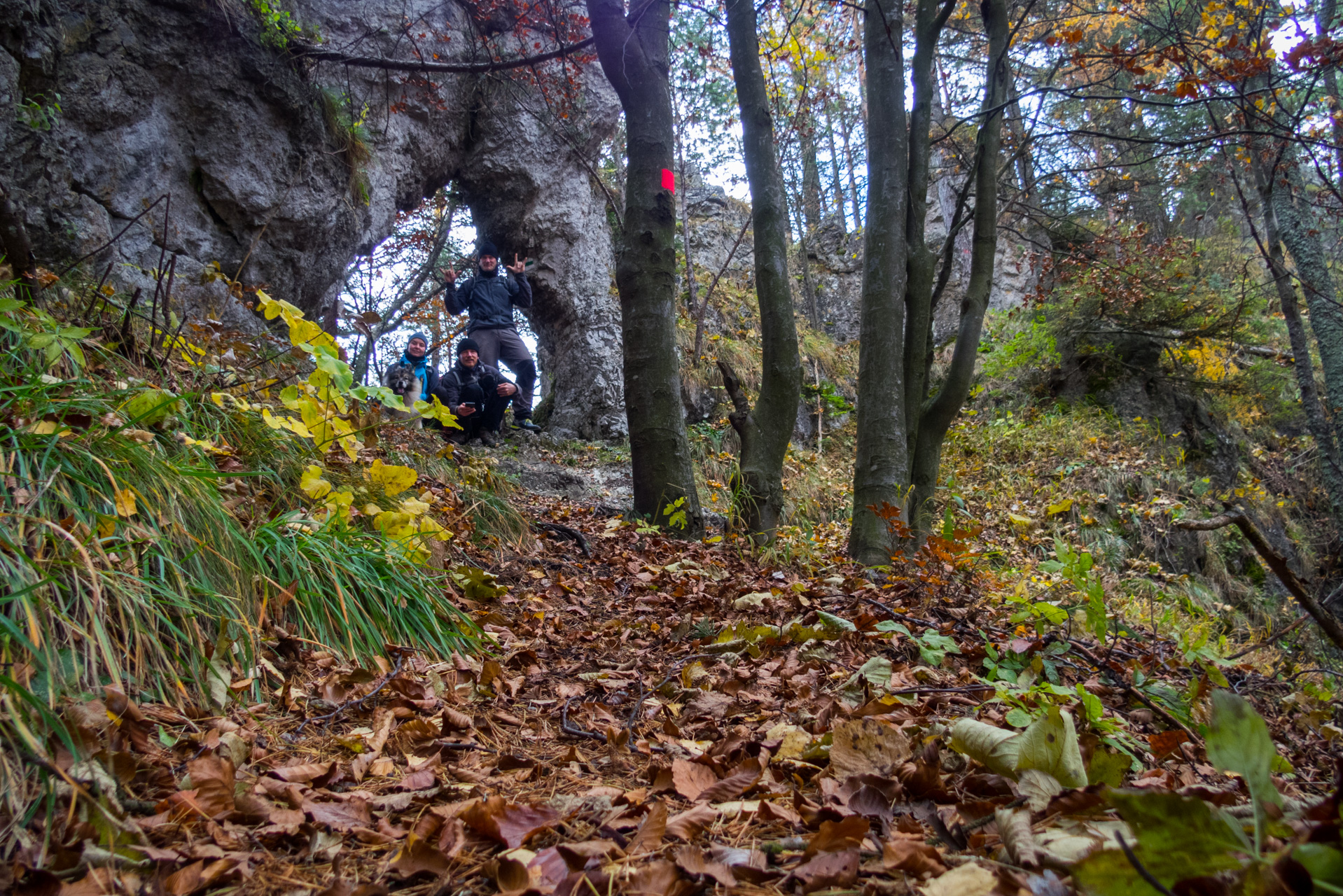 Sľubica z Braniska (Branisko)