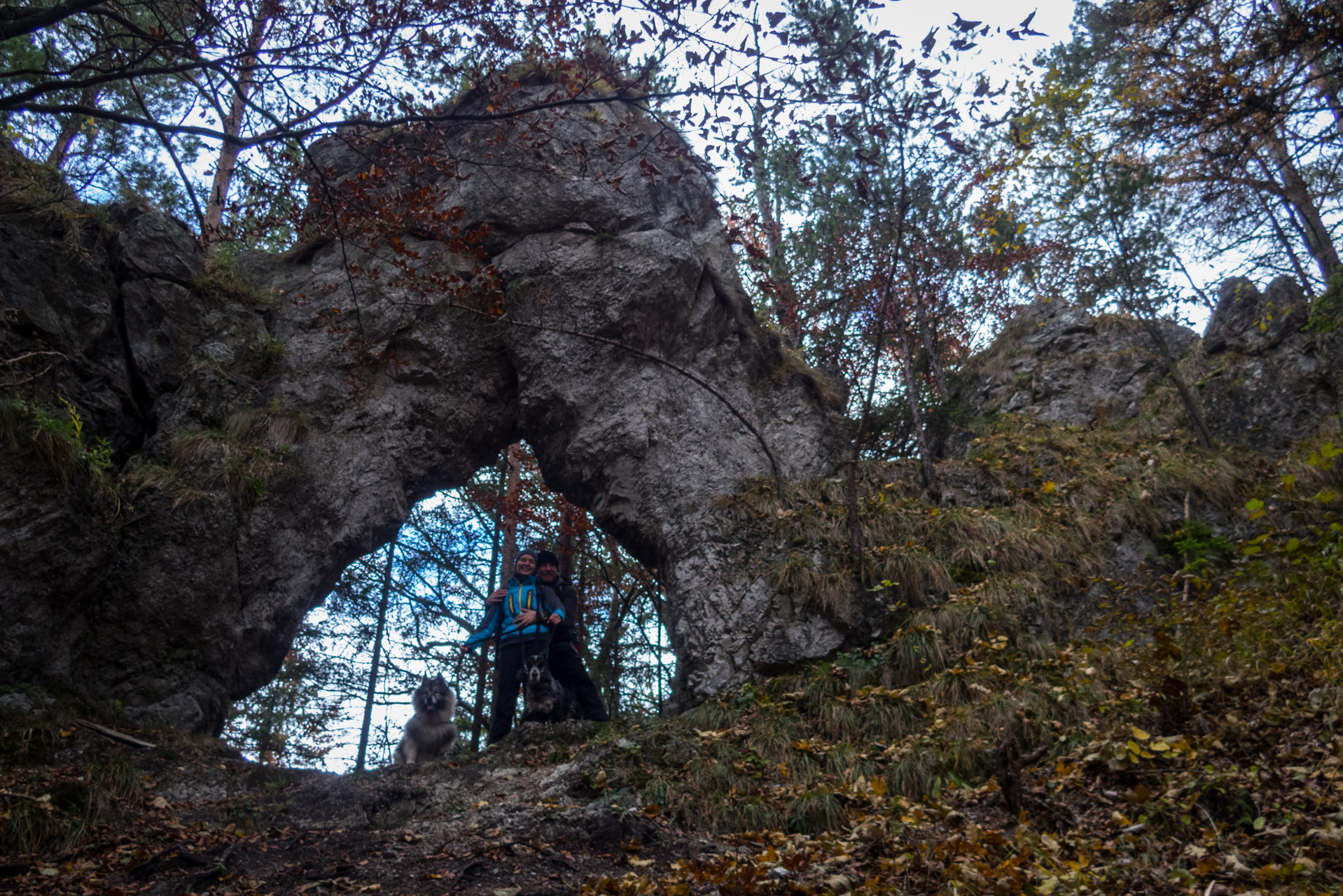 Sľubica z Braniska (Branisko)