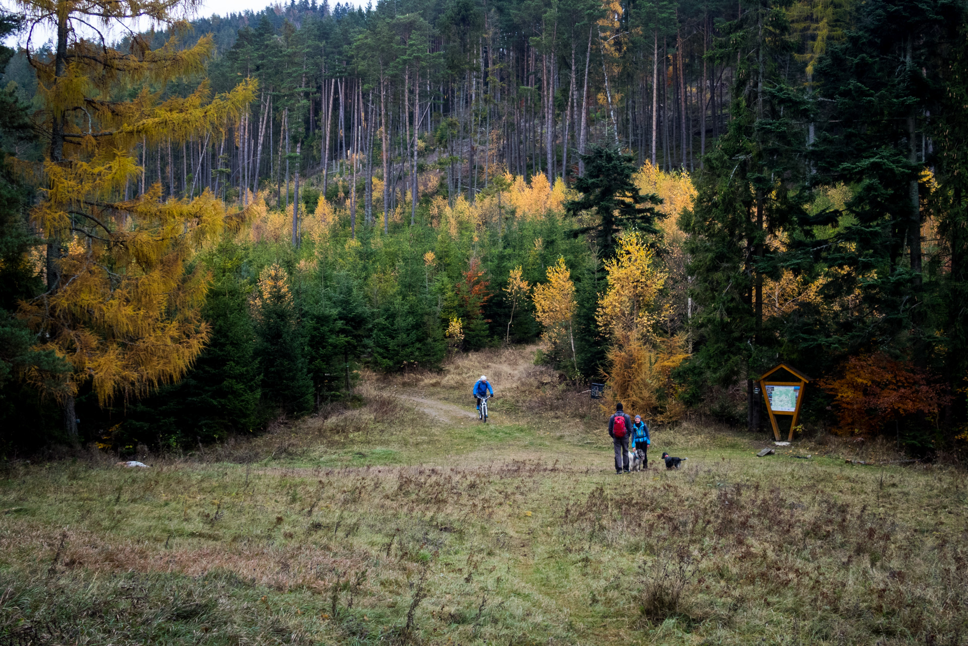 Sľubica z Braniska (Branisko)