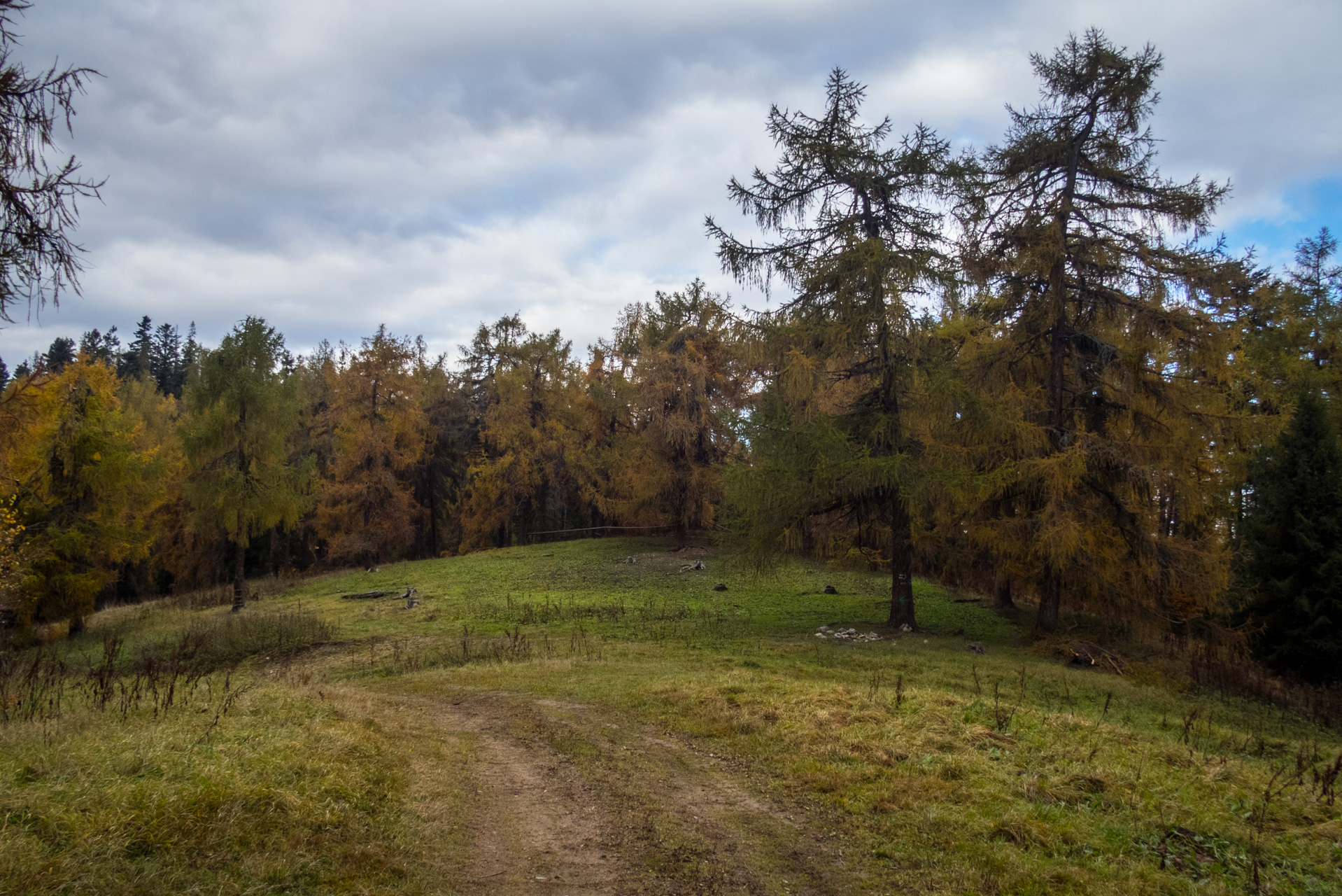 Sľubica z Braniska (Branisko)