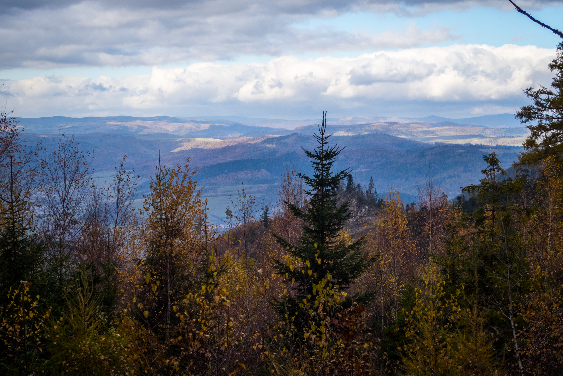 Sľubica z Braniska (Branisko)