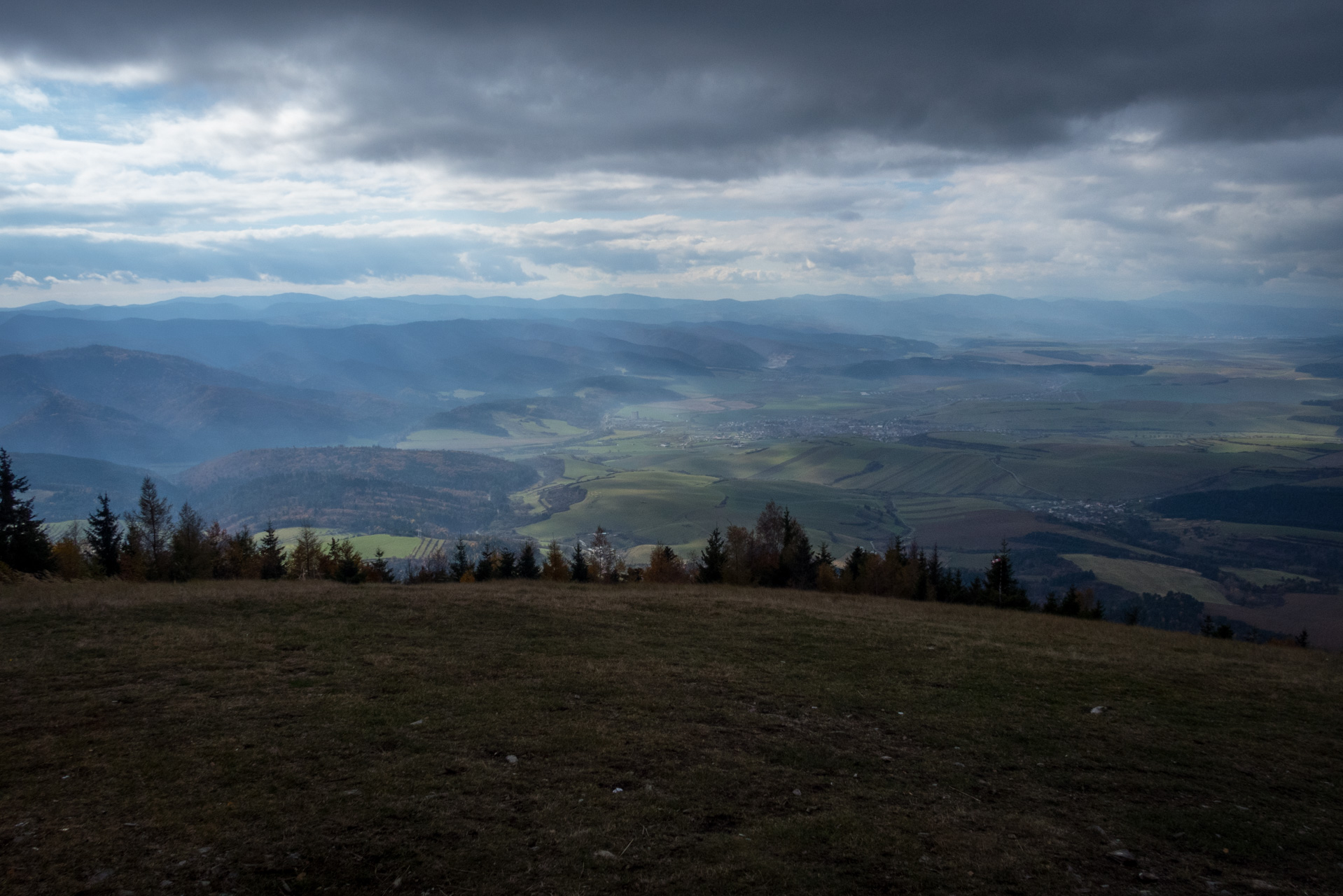 Sľubica z Braniska (Branisko)