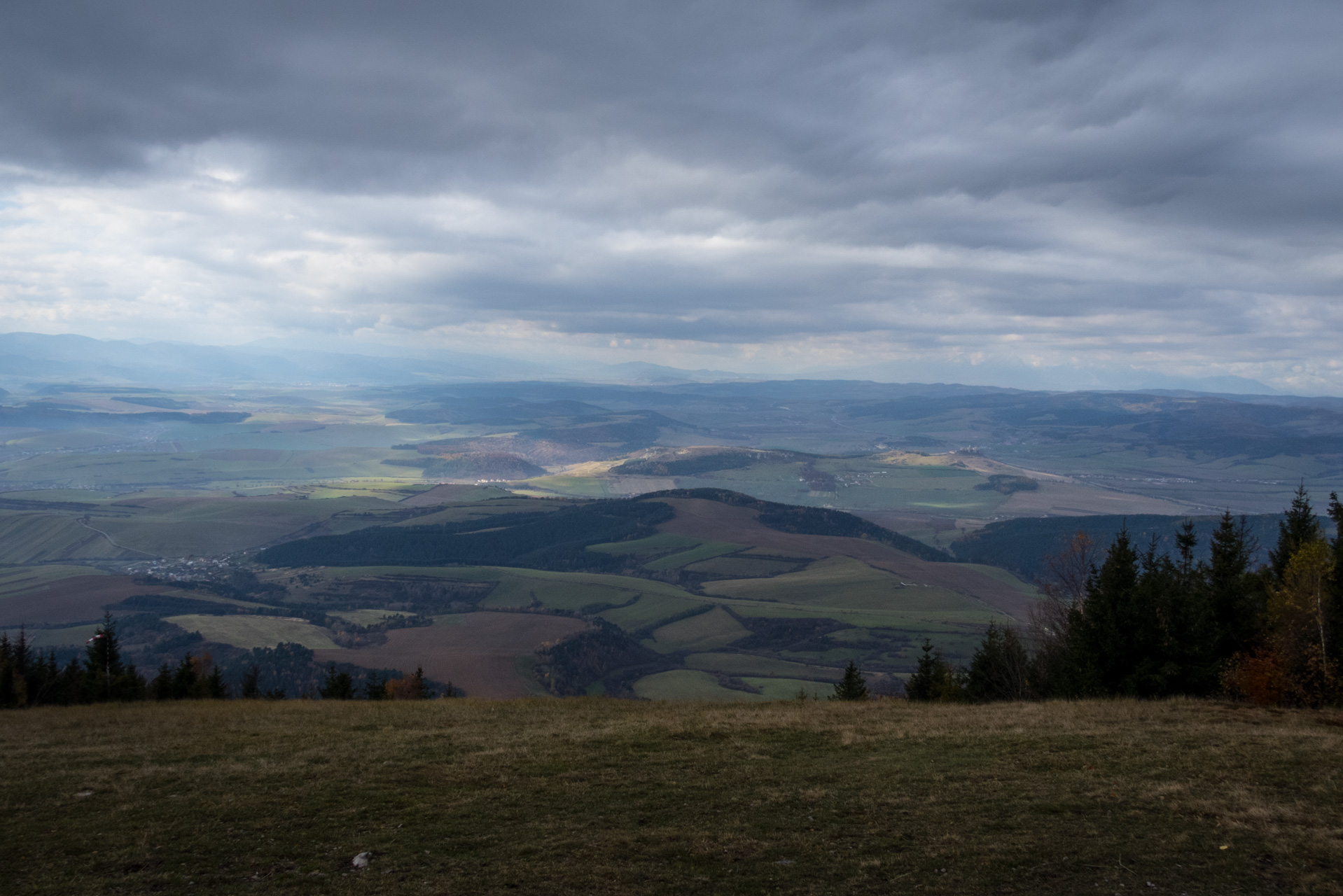 Sľubica z Braniska (Branisko)