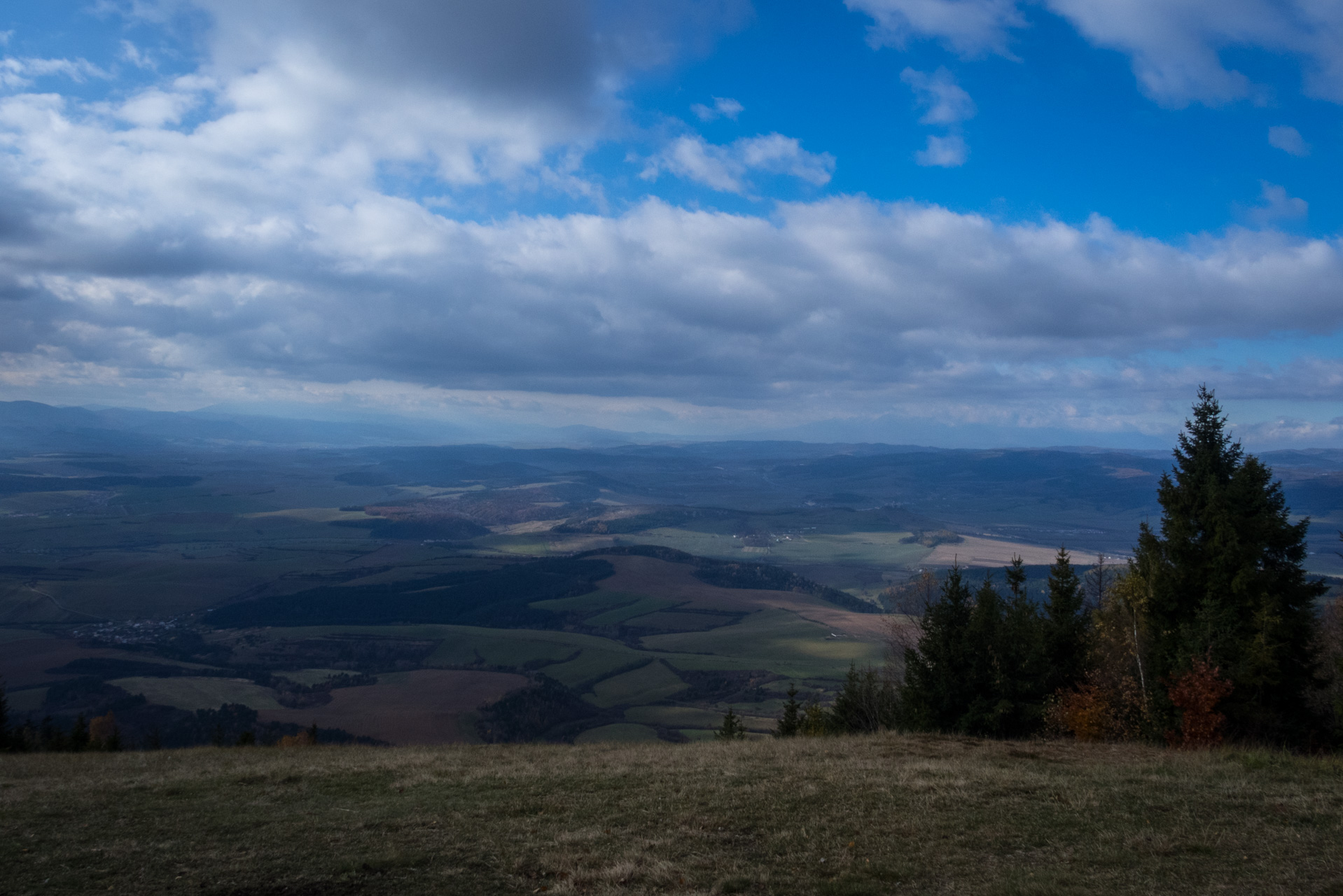 Sľubica z Braniska (Branisko)