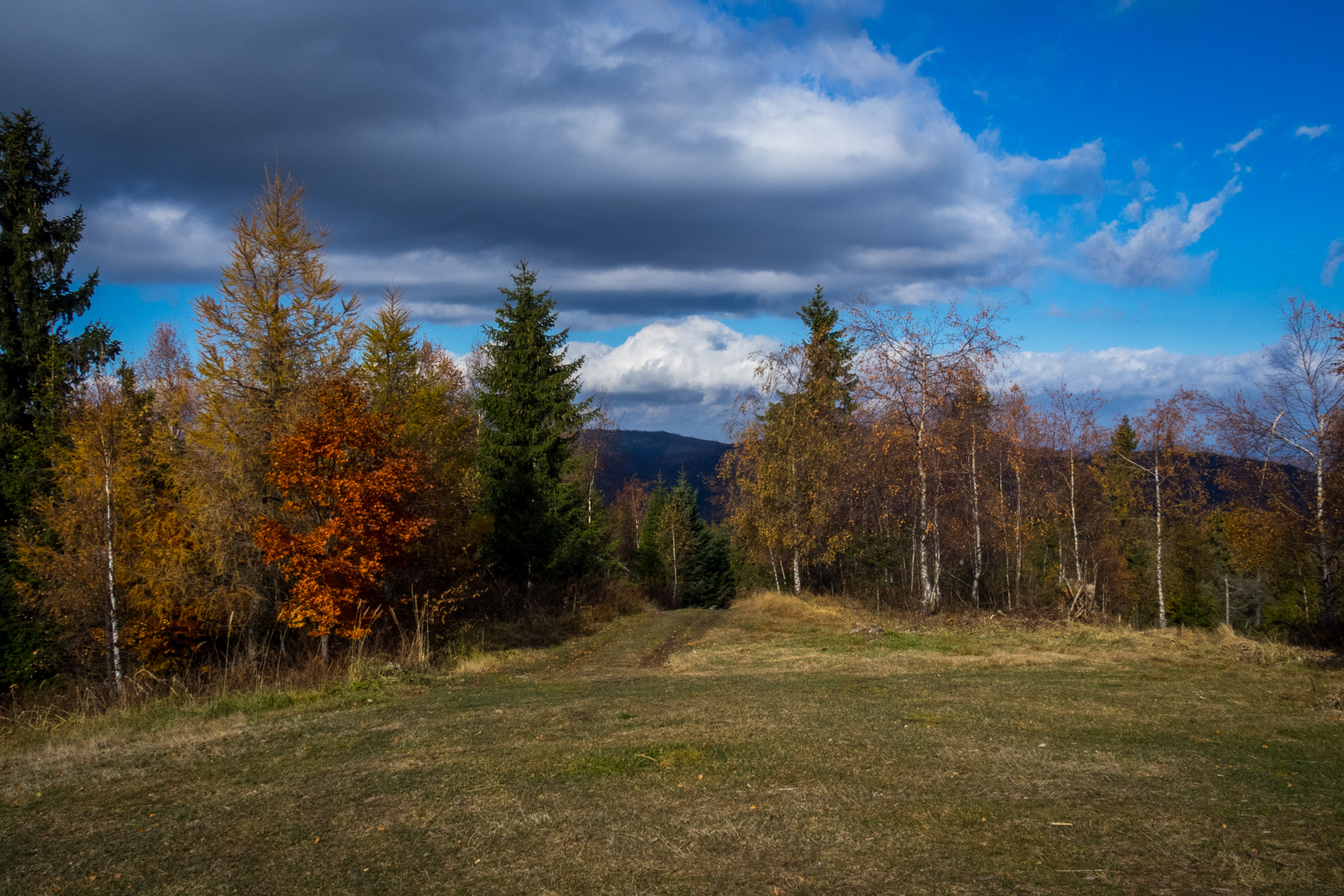 Sľubica z Braniska (Branisko)