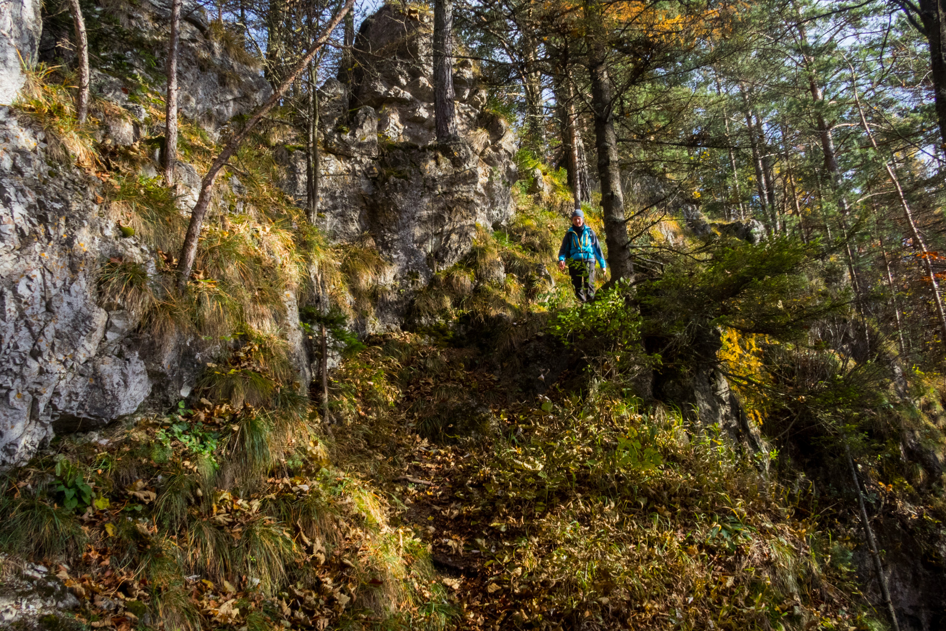 Sľubica z Braniska (Branisko)