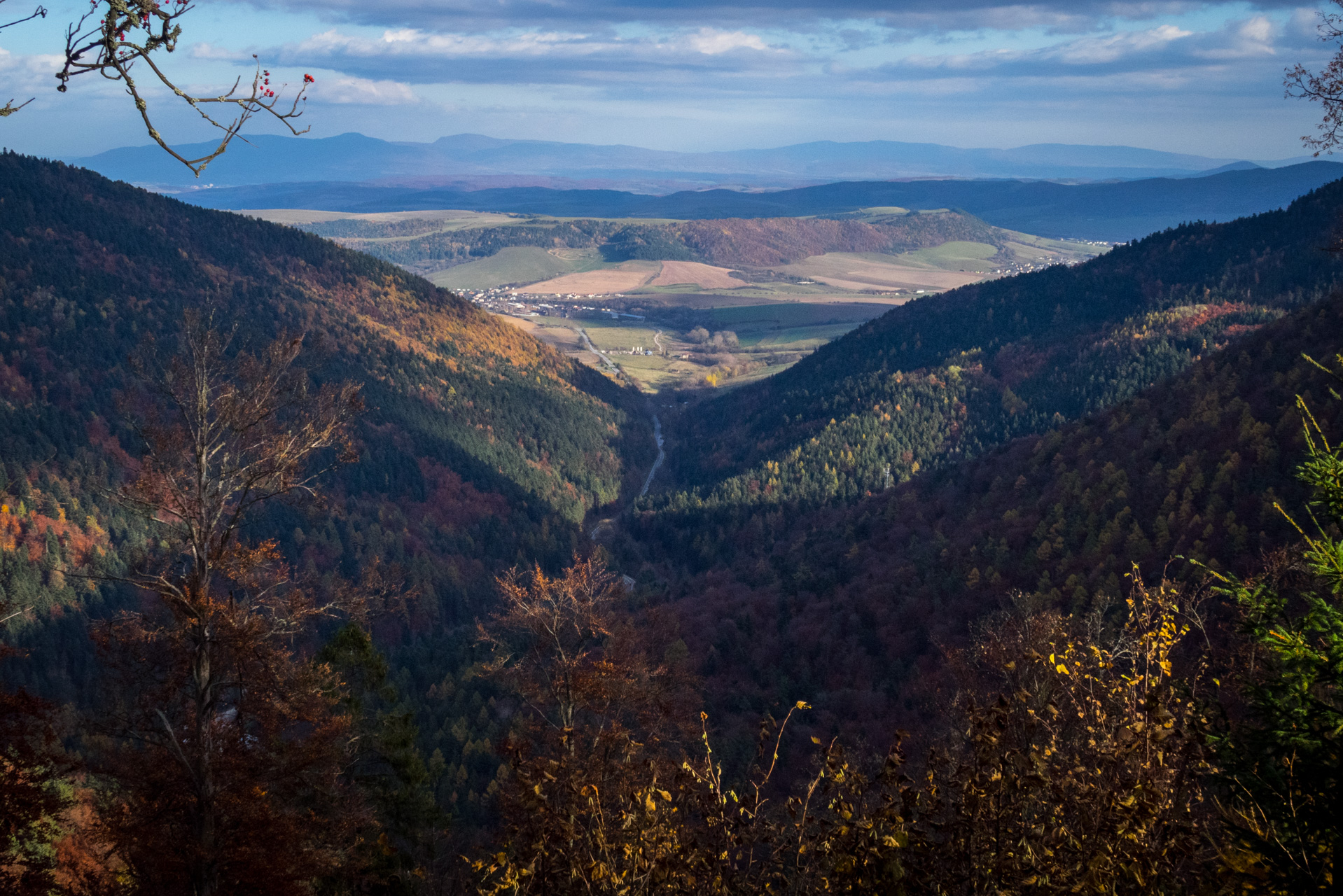 Sľubica z Braniska (Branisko)