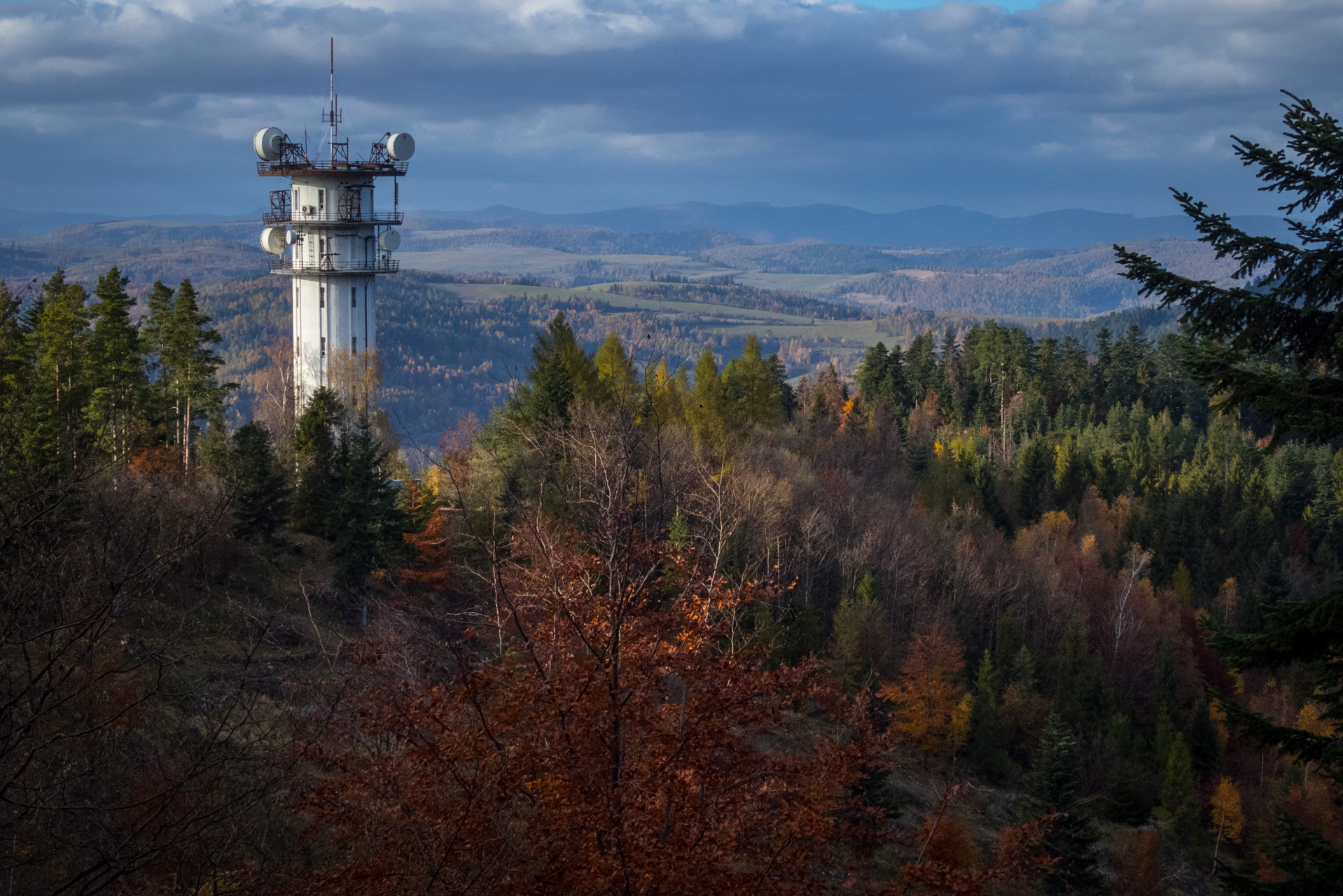 Sľubica z Braniska (Branisko)