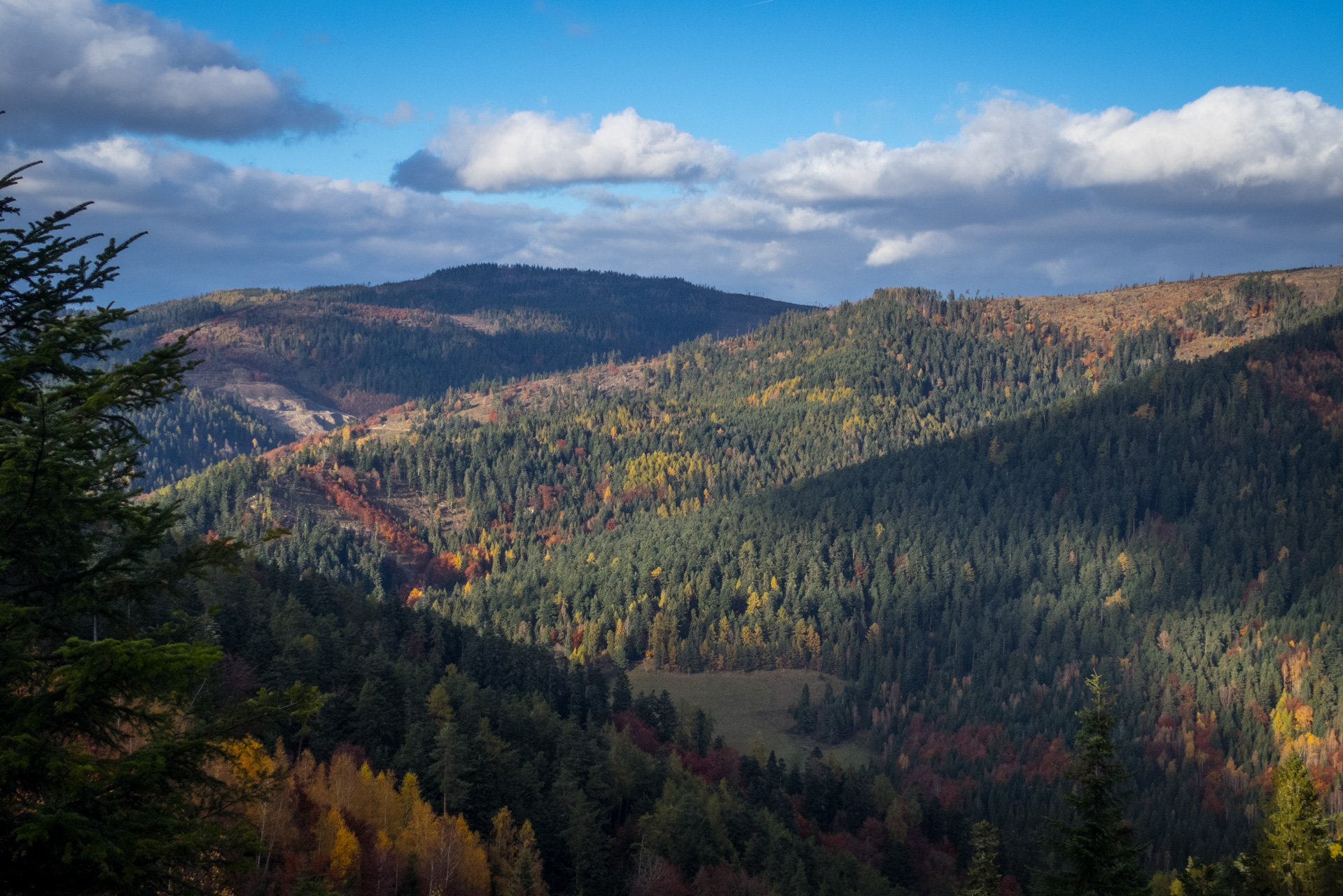 Sľubica z Braniska (Branisko)