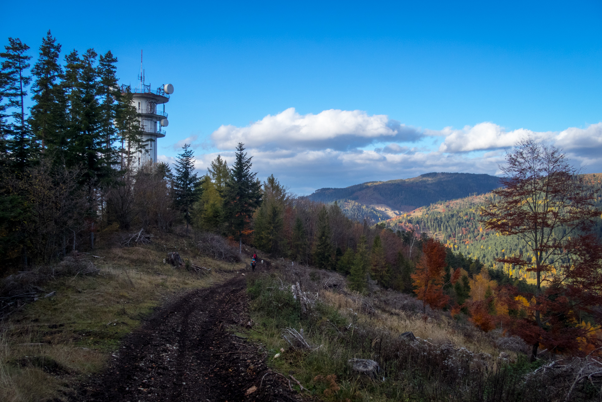 Sľubica z Braniska (Branisko)