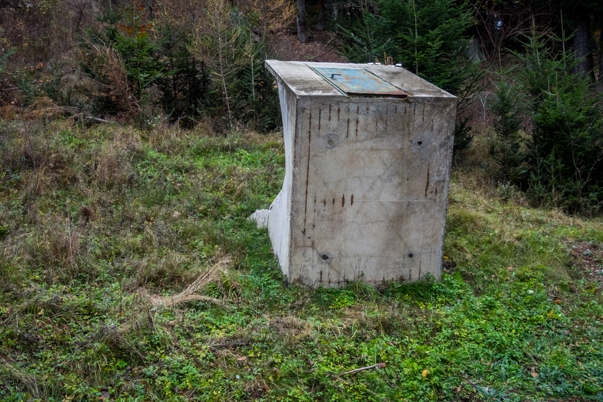 Smrekovica zo Šindliara (Branisko)