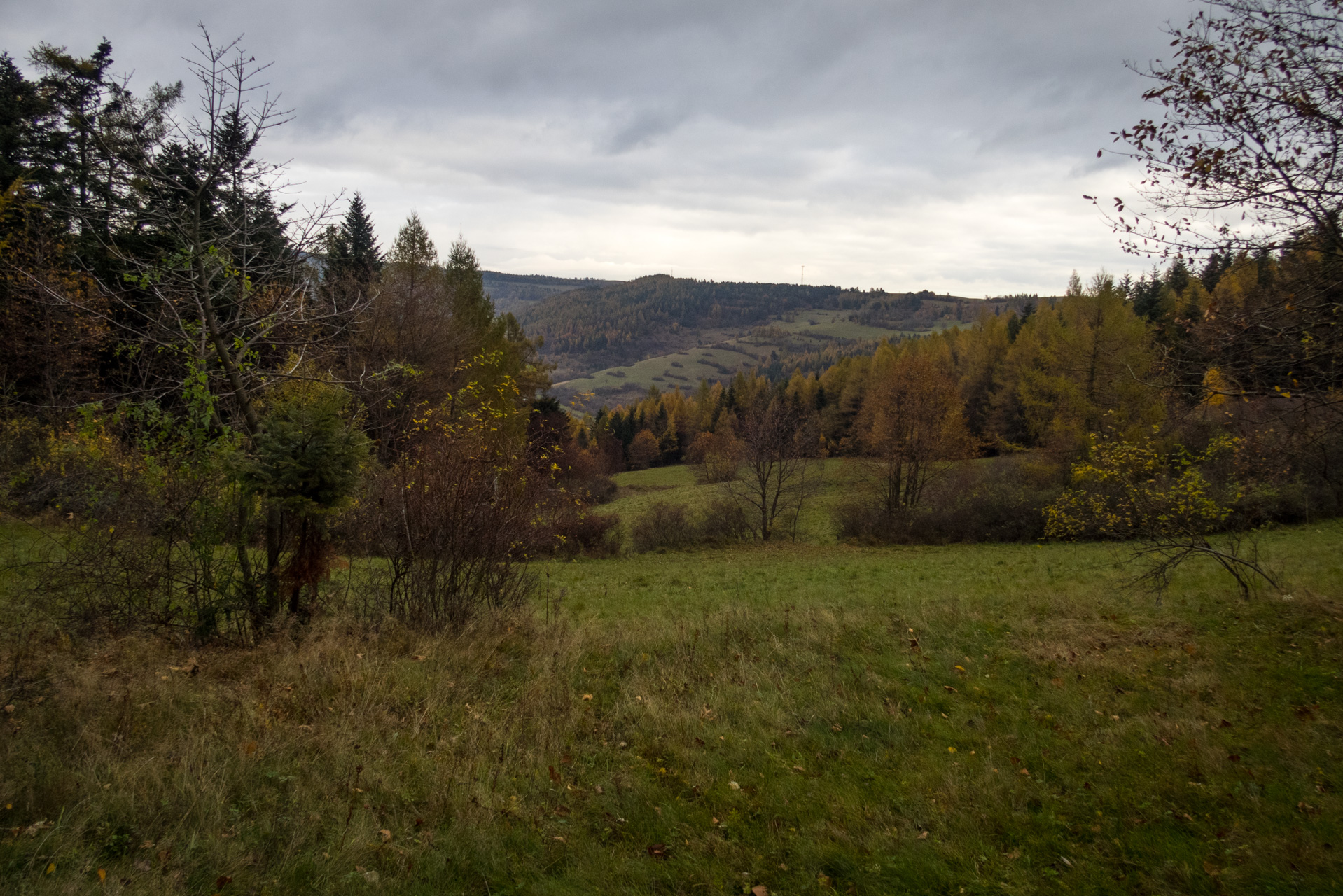 Smrekovica zo Šindliara (Branisko)