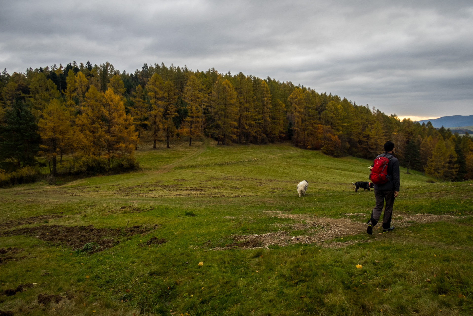 Smrekovica zo Šindliara (Branisko)