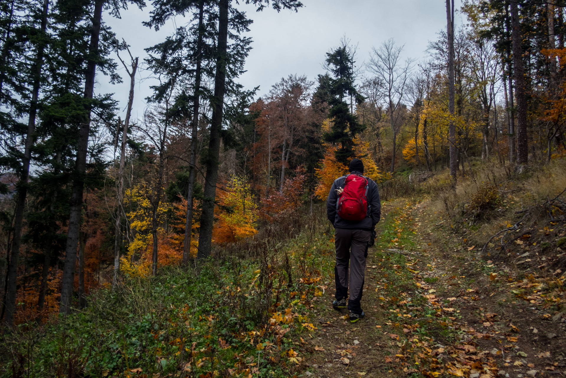 Smrekovica zo Šindliara (Branisko)